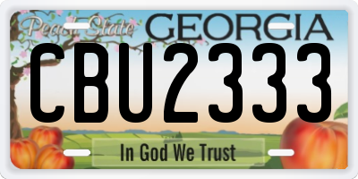 GA license plate CBU2333