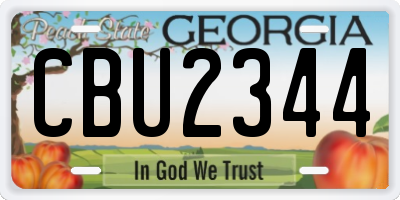 GA license plate CBU2344