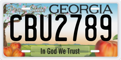 GA license plate CBU2789