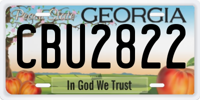 GA license plate CBU2822