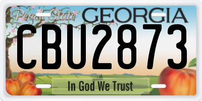 GA license plate CBU2873