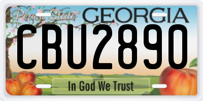 GA license plate CBU2890