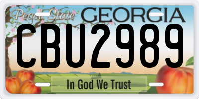 GA license plate CBU2989