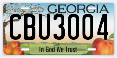 GA license plate CBU3004