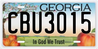 GA license plate CBU3015