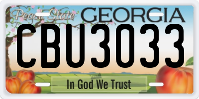 GA license plate CBU3033