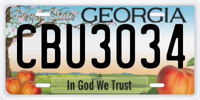 GA license plate CBU3034