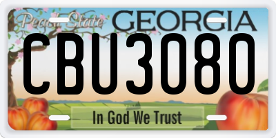 GA license plate CBU3080