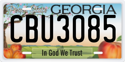 GA license plate CBU3085