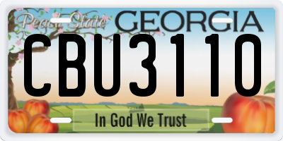 GA license plate CBU3110