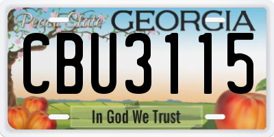 GA license plate CBU3115