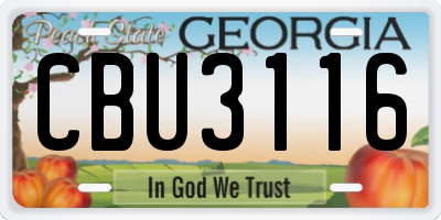 GA license plate CBU3116