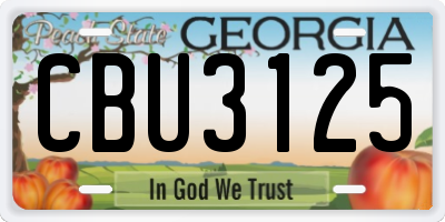 GA license plate CBU3125