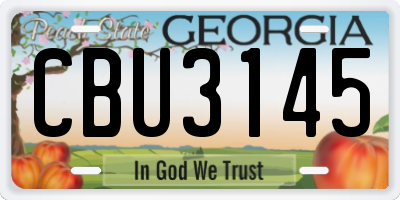 GA license plate CBU3145
