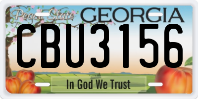 GA license plate CBU3156
