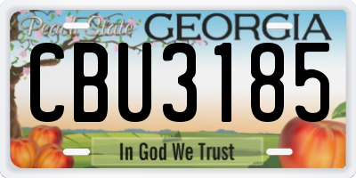GA license plate CBU3185