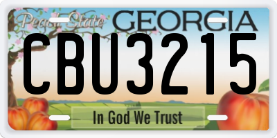 GA license plate CBU3215
