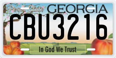GA license plate CBU3216
