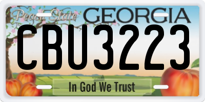 GA license plate CBU3223