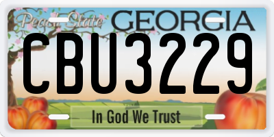 GA license plate CBU3229