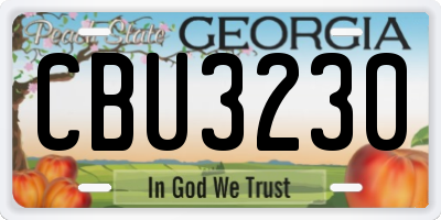 GA license plate CBU3230