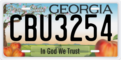 GA license plate CBU3254