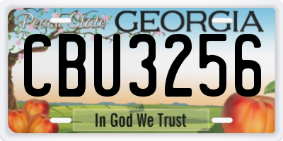 GA license plate CBU3256