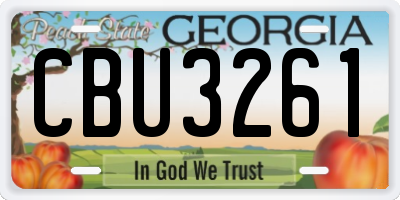GA license plate CBU3261