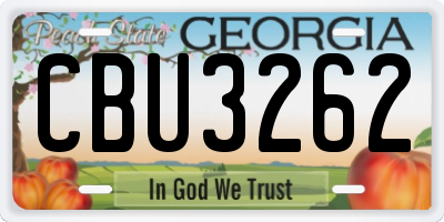 GA license plate CBU3262