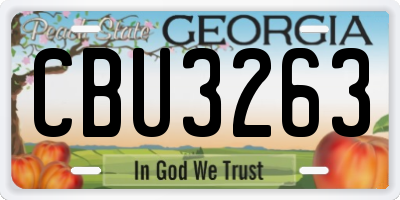 GA license plate CBU3263