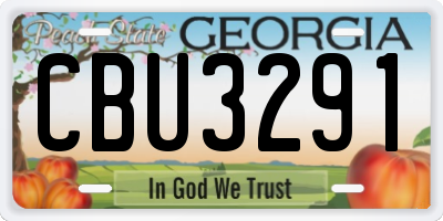 GA license plate CBU3291