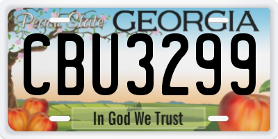 GA license plate CBU3299