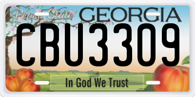 GA license plate CBU3309