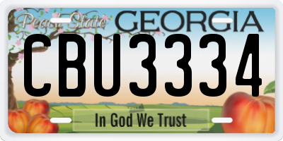 GA license plate CBU3334