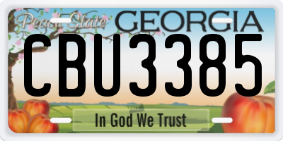 GA license plate CBU3385
