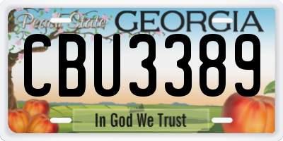 GA license plate CBU3389