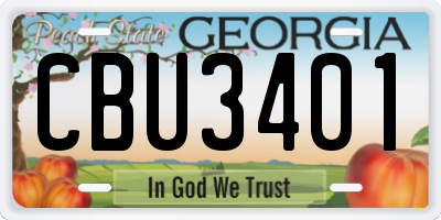GA license plate CBU3401