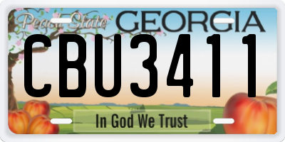 GA license plate CBU3411