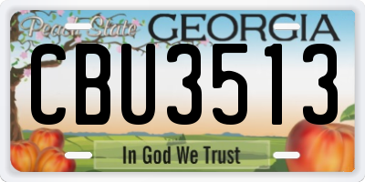 GA license plate CBU3513