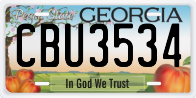 GA license plate CBU3534