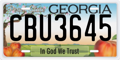 GA license plate CBU3645
