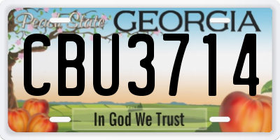 GA license plate CBU3714