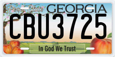 GA license plate CBU3725