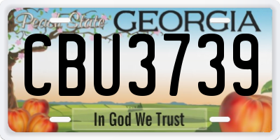 GA license plate CBU3739