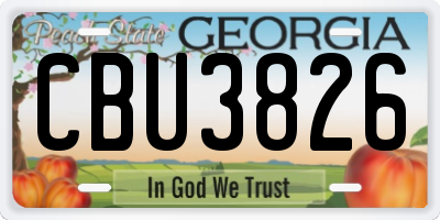 GA license plate CBU3826