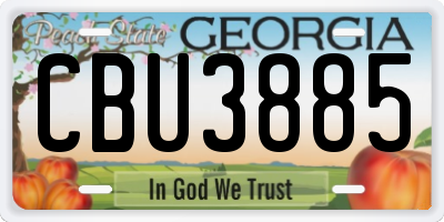 GA license plate CBU3885