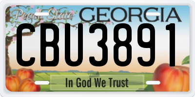 GA license plate CBU3891