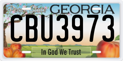 GA license plate CBU3973