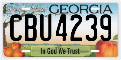 GA license plate CBU4239
