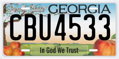 GA license plate CBU4533